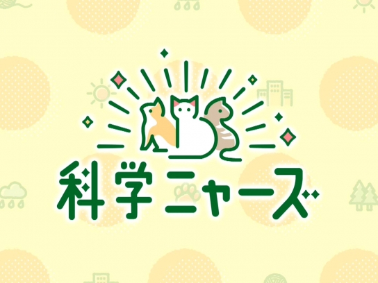 科学ニャーズ